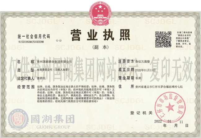 集团公司营业执照